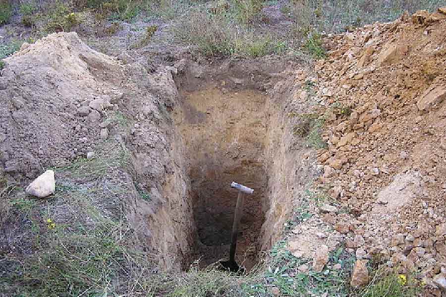 এর পর শিশুটি বাবা-মাকে একটি জায়গায় নিয়ে যায়। দাবি করে, সেখানে তার দেহ পুঁতে দেওয়া হয়েছিল।