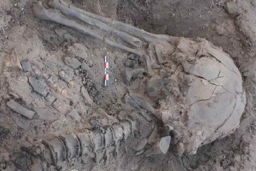 মাটি খুঁড়ে একটি কঙ্কাল উদ্ধার করা হয়। সেই কঙ্কালের কপালে ছিল আঘাতের চিহ্ন। অদ্ভুত ভাবে, শিশুটিরও কপালের ওই অংশেই ছিল সেই লাল দাগ।