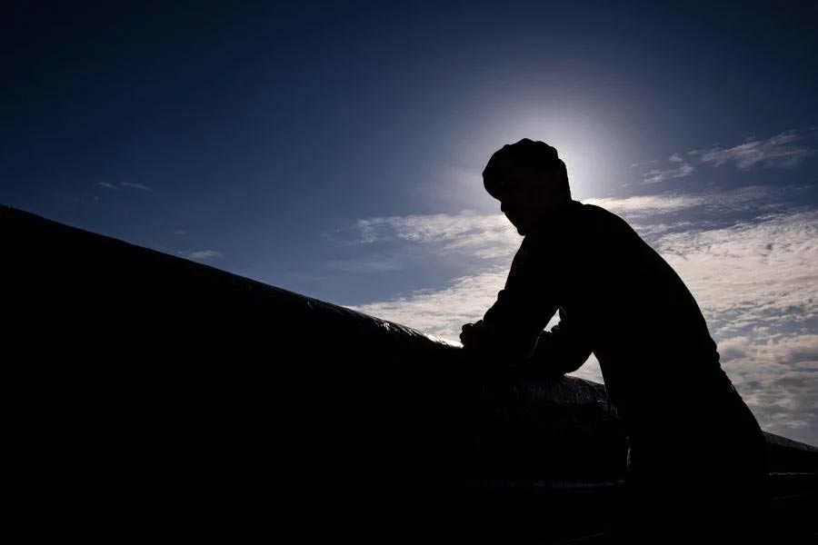 পুলিশ জানিয়েছে, ওই সরকারি কর্মচারী তেলঙ্গানার রাজ্য সচিবালয়ের সহকারী বিভাগীয় কর্তা (অ্যাসিসট্যান্ট সেকশন অফিসার বা এএসও )। তাঁর নাম প্রকাশ না করলেও কুকর্মের বিশদ ফিরিস্তি দিয়েছেন তদন্তকারীরা। 