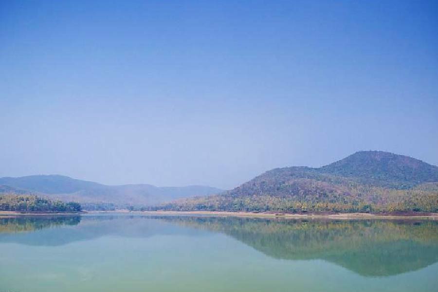 দলমা পাহাড় ঘুরে একটু বিকেল বিকেল ঘুরে আসতে পারেন ডিমনা লেক থেকে। 