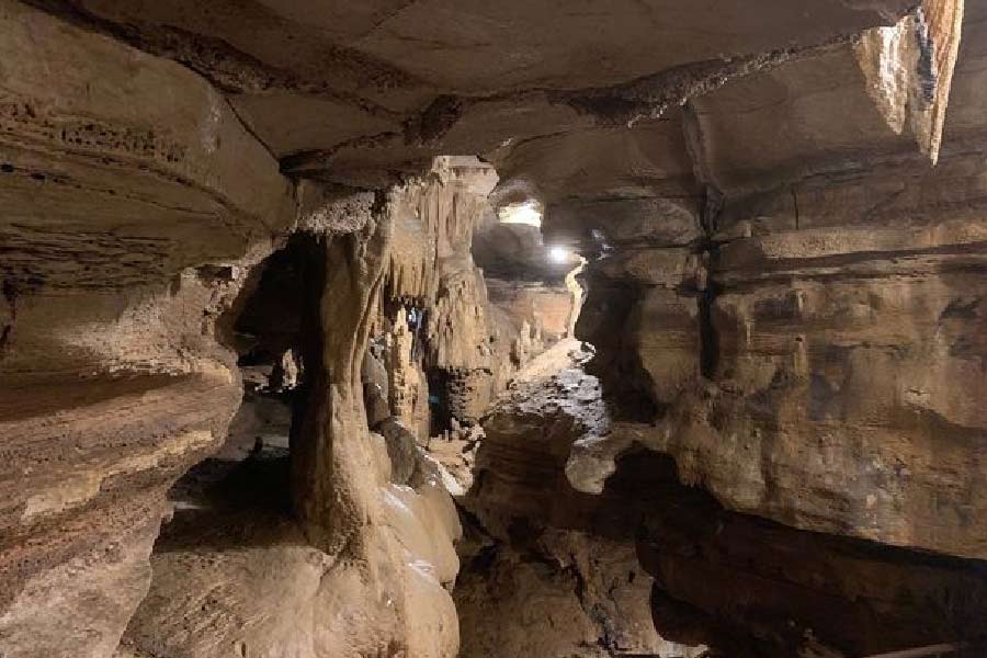 ওই বুজ়ার্ড রুস্ট গুহায় পর্যটকদের জন্য দু’ধরনের ট্যুরের ব্যবস্থা ছিল। যাঁরা ইতিহাস জানতে চাইতেন, তাঁদের গুহার নিরাপদ জায়গায় ঘুরিয়ে নিয়ে আসা হত। আর যাঁরা রোমাঞ্চকর কিছু করতে চাইতেন, তাঁদের গুহার অভ্যন্তরে নিয়ে যাওয়া হত। সেই অভিযান যথেষ্ট কঠিন।