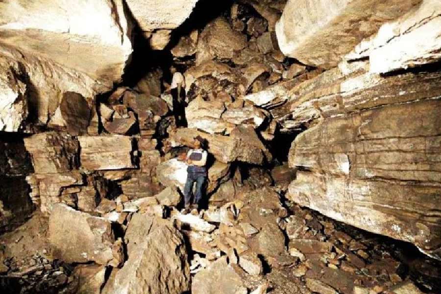 বন্ধু জেমস বাকি অভিযাত্রীদের পাঠিয়েছিলেন গাইডকে খুঁজে আনতে। কিন্তু তাঁকে খুঁজে পাননি। উদ্ধারকারী দলকেও তাঁরা আর খবর দেননি। শেষ পর্যন্ত নিজেরাই কাফলিনকে উদ্ধারের চেষ্টা করেন।