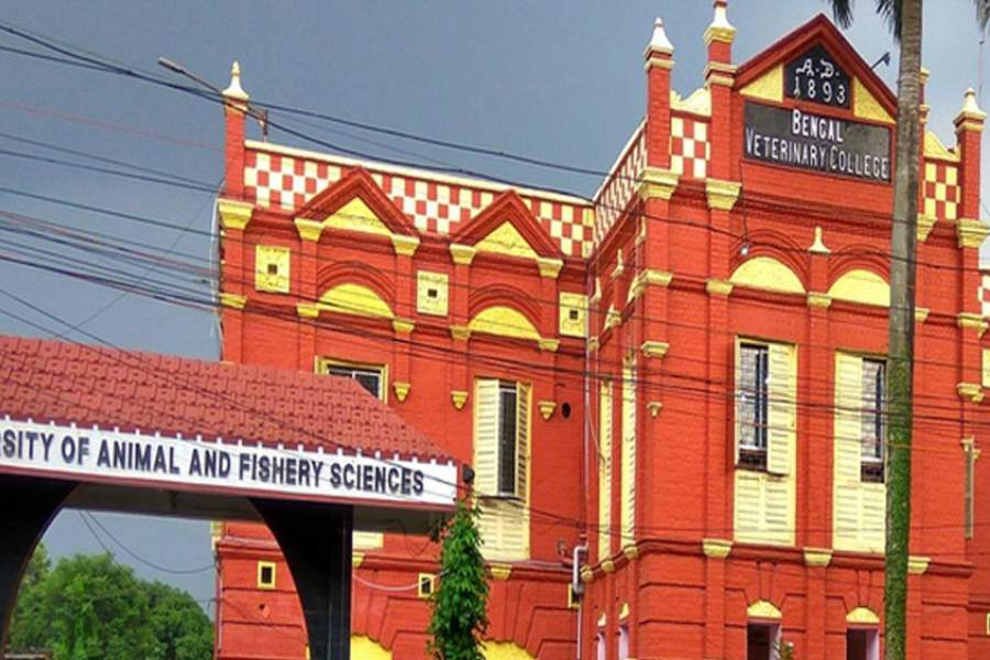 মৎস্যবিজ্ঞান নিয়ে পড়ার সুযোগ রয়েছে। পশ্চিমবঙ্গ প্রাণী ও মৎস্যবিজ্ঞান বিশ্ববিদ্যালয়ে এই বিষয়ে পড়ানো হয়।