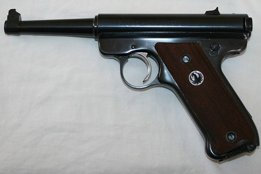 ’৮১-র ৬ মার্চ ছিল এই খুনের মামলার শুনানির তৃতীয় দিন। লুবেকের জেলা আদালতে হাজির ছিলেন আনার মা মারিয়ানও। সঙ্গে তাঁর হাতব্যাগে ভরে এনেছিলেন একটি .২২ ক্যালিবারের বেরেতা পিস্তল। তা থেকেই পর পর ৮টি গুলি করেছিলেন মারিয়ান।