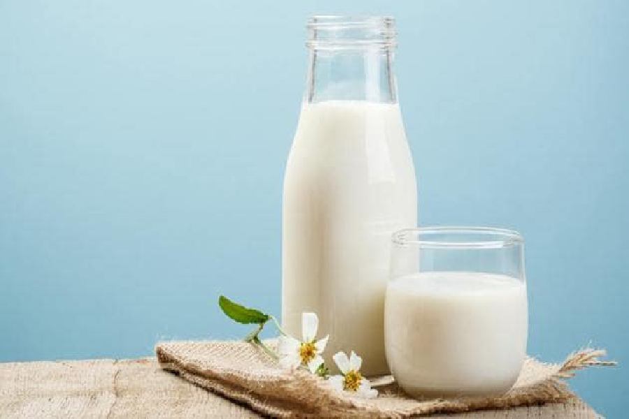 দুধ খাওয়ার কিছু নির্দিষ্ট নিয়ম রয়েছে।