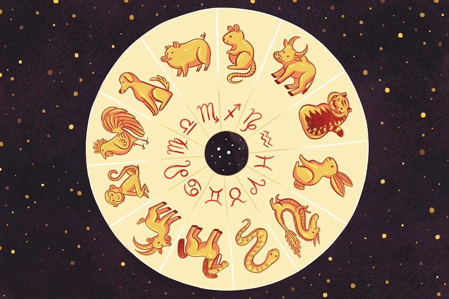 চিনা রাশিচক্র মেনে খরগোশ, ড্র্যাগন, সাপ, ঘোড়া— এ হেন মোট ১২টি প্রাণীর রাজত্ব এক-একটি বছরে। নিজের জন্মসাল দিয়ে অঙ্ক কষে ওই প্রাণীটিকে বার করতে পারেন। আবার জন্মসাল অনুযায়ী এক-একটি প্রাণীর চারিত্রিক বৈশিষ্ট্য আপনার মধ্যে দেখা যেতে পারে। তবে সে সব কথা পরে হবে। তার আগে জানানো যাক, কোন প্রাণীর বছরে কার কপালে কী রয়েছে?