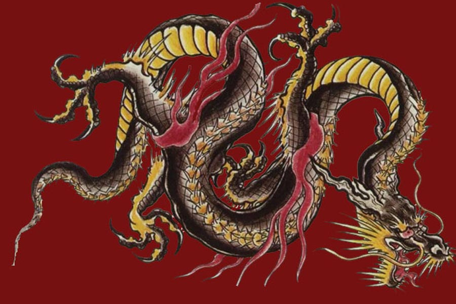 চিনা রাশিচক্র মেনে যাঁরা ড্রাগনের বছরে জন্মেছেন, তাঁদের নেতৃত্ব দেওয়ার ক্ষমতা সহজাত। আদর্শবাদী এবং খুঁতখুঁতে হন এঁরা। 