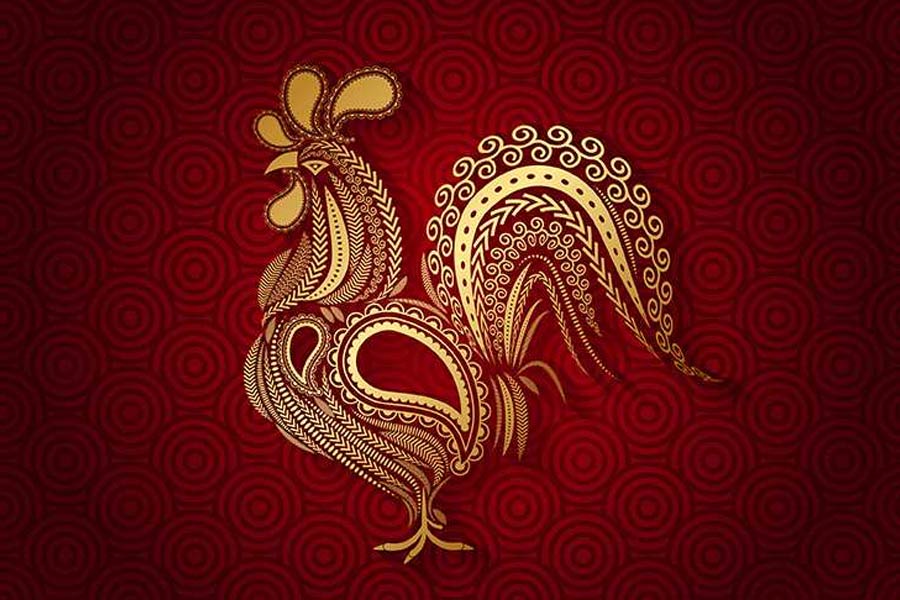 চিনা রাশিচক্র অনুযায়ী, যাঁরা মোরগের সঙ্গে মিল খুঁজে পেয়েছেন, তাঁরা অত্যন্ত বিশ্বস্ত এবং স্পষ্টবাদী। এঁদের পর্যবেক্ষণ ক্ষমতাও বেশি।