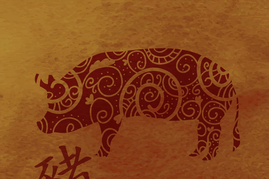 অপরিসীম সহ্যক্ষমতার অধিকারী শূকর রাশির জাতকেরা সকলের বিশ্বাসের মর্যাদা দেন। তবে প্রতারিত হতে পারেন।