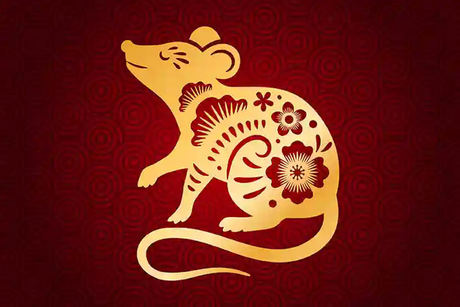 যে কোনও পরিস্থিতির সঙ্গে মানিয়ে নিতে পারেন ইঁদুরের জাতকেরা। সাধারণত অর্থের অভাবে ভোগেন না এঁরা।