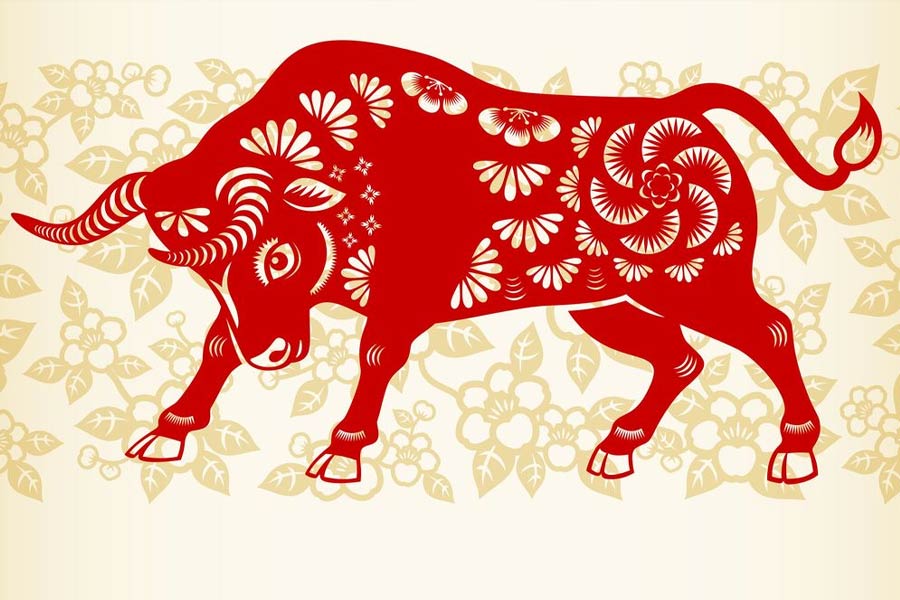 ষাঁড় রাশির জাতকেরা কঠোর পরিশ্রমী হওয়ার পাশাপাশি অসীম ধৈর্যের অধিকারী হন। আত্মবিশ্বাসী হলেও সামাজিক মেলামেশায় অভ্যস্ত নন এঁরা।