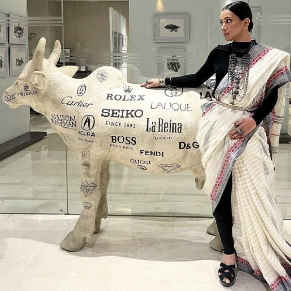 ছবির পাশাপাশি হিন্দি ধারাবাহিকেও অভিনয় করার সুযোগ পেয়েছিলেন শ্বেতা। ‘মর্দ কো দর্দ নেহি হোতা’, ‘বদ্রিনাথ কি দুলহনিয়া’, ‘দ্য তাশখন্দ ফাইলস’, ‘সিরিয়াস মেন’ ছবিতে অভিনয় করতে দেখা গিয়েছে তাঁকে। ‘হস্টেজেস’, ‘রে’, ‘ক্রিমিনাল জাস্টিস: অধুরা সচ’-এর মতো ওয়েব সিরিজ়েও অভিনয় করেছেন তিনি।