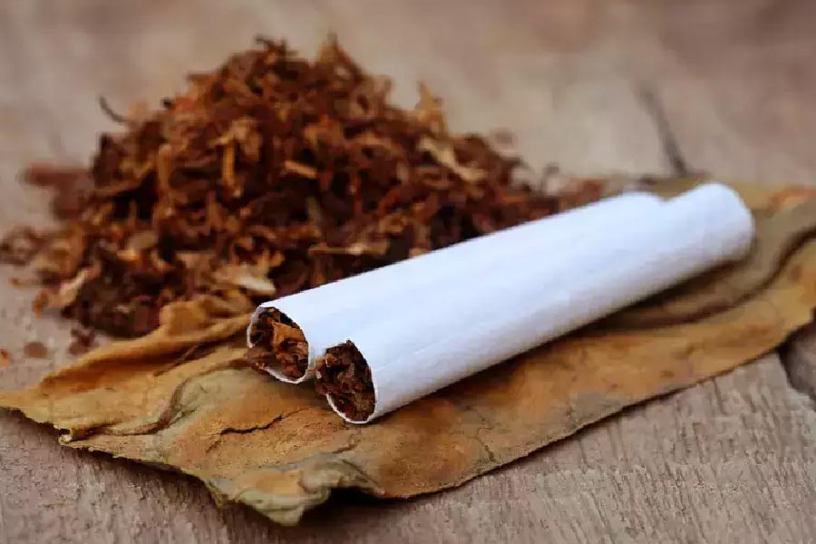 এর আগেও এ নিয়ে অনেক চেষ্টা চলেছে। পঞ্চাশের দশকে প্রথম বার স্বাস্থ্যকর সিগারেট তৈরি নিয়ে চর্চা শুরু হয়েছিল। সেই সময় এক ধরনের ‘ফিল্টার সিগারেট’ তৈরি করা হয়েছিল।