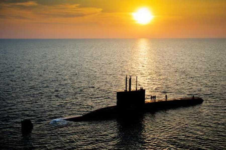 ভারত মহাসাগরের বাসিন্দা এই হাঙর তার শিকারের অবস্থান বুঝে নেয় অনেক দূর থেকে তাদের দেহের কম্পনের মাত্রা থেকে। একই ক্ষমতা রয়েছে  নৌবাহিনীর নতুন ডুবোজাহাজ আইএনএস বাগিরেরও। 