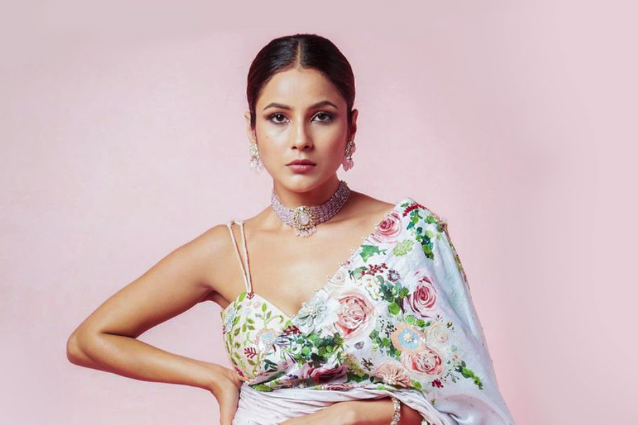 যৌনশিক্ষা নিয়ে আজকাল বহু স্কুলেই ক্লাস হচ্ছে। পড়ুয়া এবং শিক্ষক-শিক্ষিকাদের মধ্যে বিষয়টি নিয়ে খোলাখুলি কথাবার্তাও হয়। তবে এই কিছু দিন আগেও তা নিয়ে কম ঢাকঢাক গুড়গুড় ছিল না। এ নিয়ে বয়ঃসন্ধিতে পা রাখা পড়ুয়াদের নানা প্রশ্ন সামলাতে গিয়ে নাজেহাল হতেন বহু শিক্ষক-শিক্ষিকা। বলিউডের শেহনাজ় গিলকেও সেই প়ড়ুয়াদের দলে অনায়াসে রাখা যায়।