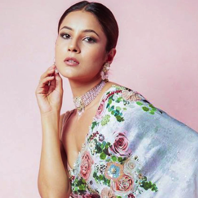 ‘দেশি ভাইব্‌স’ নামের সে চ্যাট শোয়ে ‘ছত্রীওয়ালি’-র অভিনেত্রী রকুলপ্রীত সিংহ ছিলেন শেহনাজ়ের অতিথি। তাঁর কাছেই স্কুলজীবনের কিছু কথা খোলসা করেছেন শেহনাজ়। তাতে উঠে এসেছে যৌনশিক্ষার ক্লাসের কথাও।