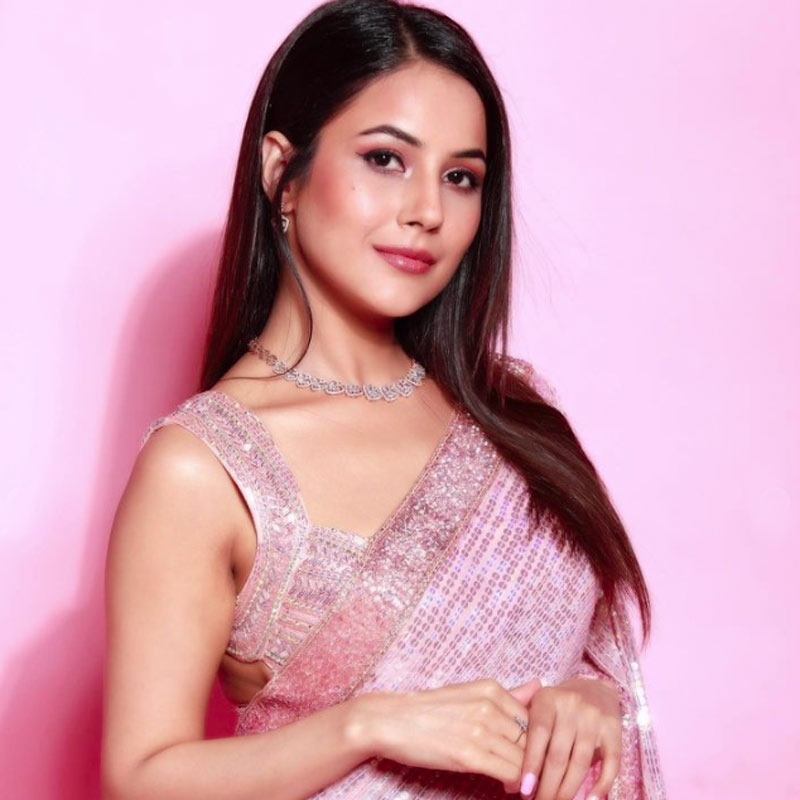 ‘বিগ বস্‌’-এর ওই মরসুমে সিদ্ধার্থ ছিলেন বিজেতা। তবে পিছিয়ে ছিলেন না শেহনাজ়ও। সে বার তৃতীয় হয়েছিলেন তিনি। সে সময় থেকেই শেহনাজ়ের পরিচিতি বাড়তে থাকে। ‘বিগ বস‌্‌’-এর পর ‘মুজসে শাদি করোগে’ নামে আরও একটি রিয়্যালিটি শোয়ে দেখা গিয়েছিল শেহনাজ়কে। তাতে কম দর্শক মাতাননি তিনি। 