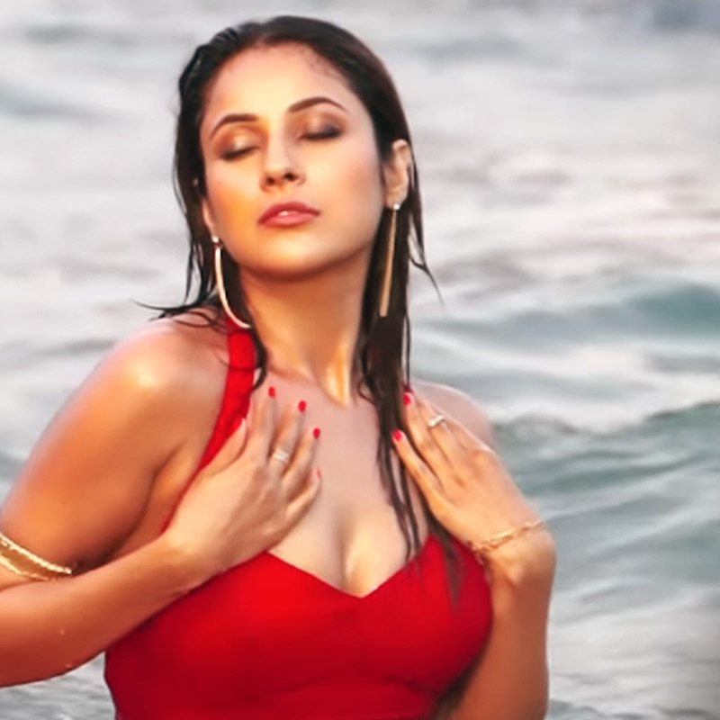 ছোট পর্দায় জনপ্রিয়তার গুড় খাওয়ার পর এ বার বড় লাফ মারেন শেহনাজ়। সল্লু মিয়াঁর সঙ্গে তাঁর নাম জড়িয়ে রসালো আলোচনা জমে উঠতে না উঠতেই শেহনাজ়ের মঞ্চে নাকি গুরু রনধাওয়ার প্রবেশ ঘটেছিল। অবশ্য সে সব বলিউডি জল্পনা না সত্যি, তা জানার আগেই সল্লু মিয়াঁর ছবিতে জায়গা করে নেন শেহনাজ়।