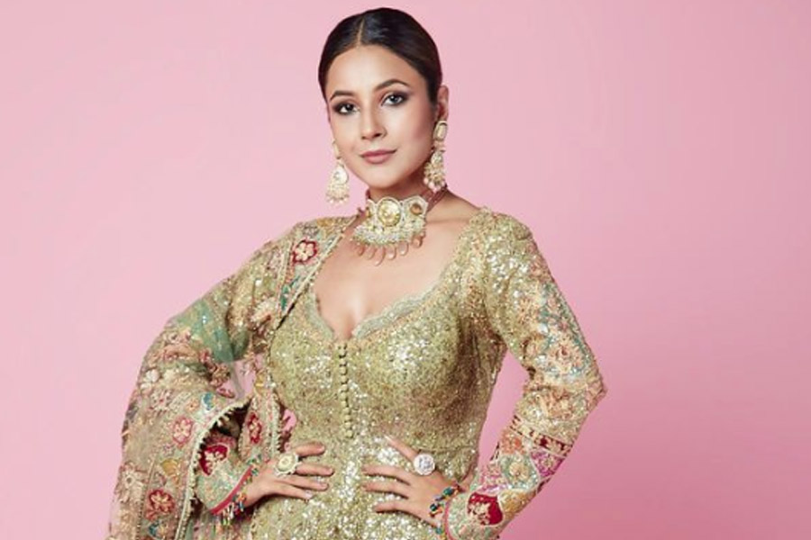 সব ঠিক থাকলে ২১ এপ্রিল ভাইজানের সঙ্গে শেহনাজ়ের ছবি মুক্তি পাবে। সেই প্রতীক্ষার প্রহর গোনার মাঝে নিজের চ্যাট শোয়ে একের পর এক বলিউড তারকার সঙ্গে খুনসুটি করেছেন তিনি।