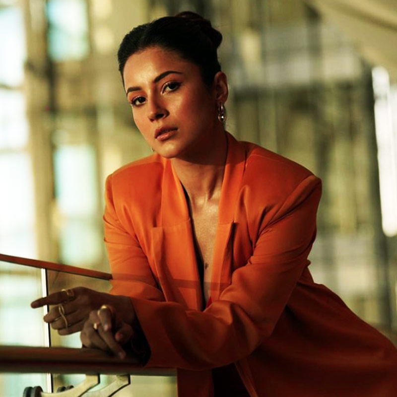 আদতে পঞ্জাবের বাসিন্দা হলেও হিমাচলের একটি নামী আবাসিক স্কুলে পড়াশোনা করেছেন। সেখানে যৌনশিক্ষার ক্লাস নেওয়া হত বলে জানিয়েছেন শেহনাজ়।