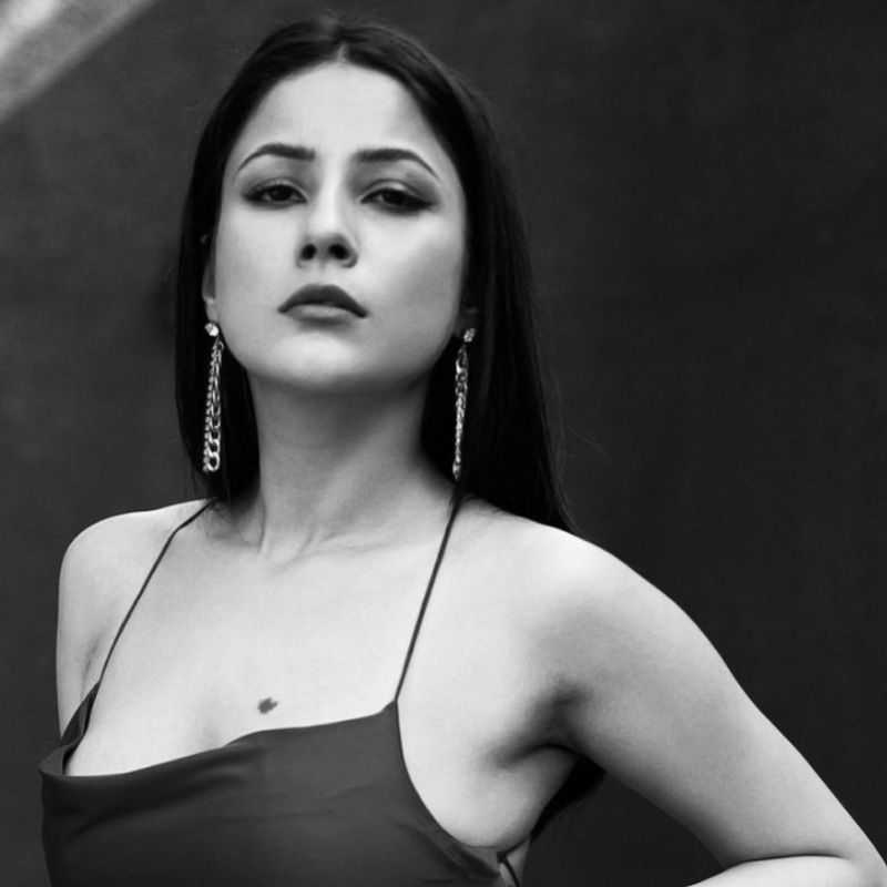 শেহনাজ় বলেন, ‘‘বিজ্ঞানের বিষয়গুলির মধ্যে একমাত্র এই ক্লাসটিই আমার পছন্দের ছিল। যত বারই প্রজনন নিয়ে আলোচনা করতেন টিচার, কান খাড়া করে রাখতাম।’’