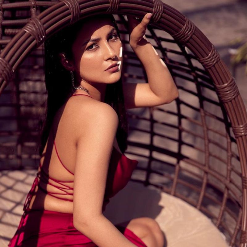 শেহনাজ় জানিয়েছেন, স্কুলে ওই ক্লাসগুলি দারুণ লাগত তাঁর। সেই সঙ্গে রকুলপ্রীতকে সে দিনের কথা বলতে গিয়ে গুরুত্বপূর্ণ মন্তব্য করেছেন তিনি। তাঁর কথায়, ‘‘সে দিন টিচার যদি আমাকে চুপ না করিয়ে বলতেন, ‘এগুলো তোমার শেখানোর জন্যই বলা হচ্ছে’, তবে ভাল হত। আমার মনে হয়, যৌনশিক্ষা নিয়ে শিক্ষক-শিক্ষিকাদের দৃষ্টিভঙ্গিতে বদল ঘটলে সমাজেও সে পরিবর্তন দেখা যাবে।’’