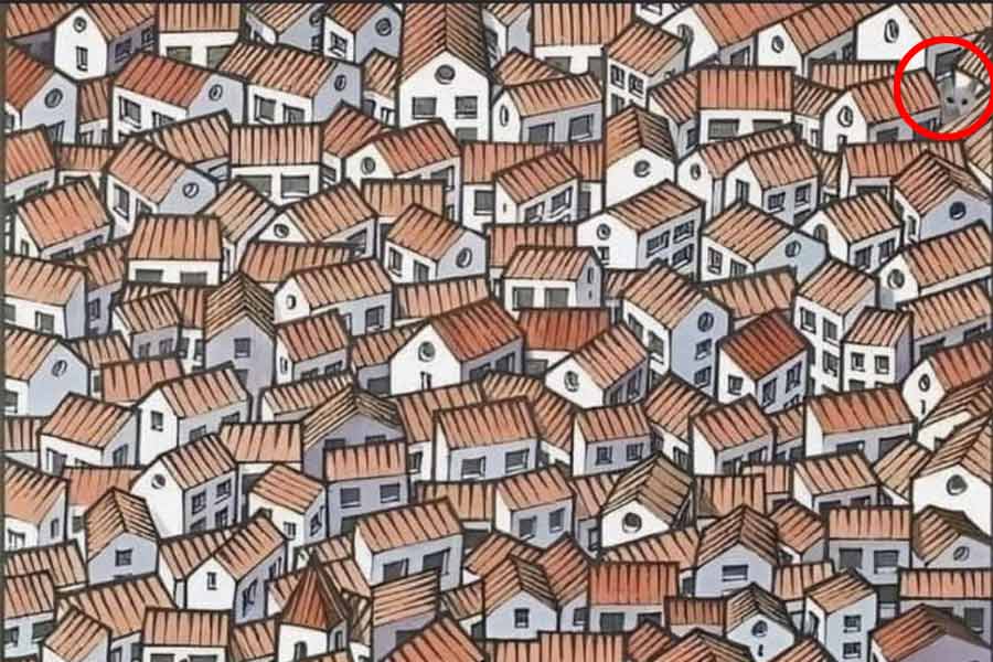 বাড়ির সংখ্যা নয়, এই বাড়ির ভিড়ে লুকিয়ে থাকা বিড়াল খুঁজে বার করাই আসল চ্যালেঞ্জ।