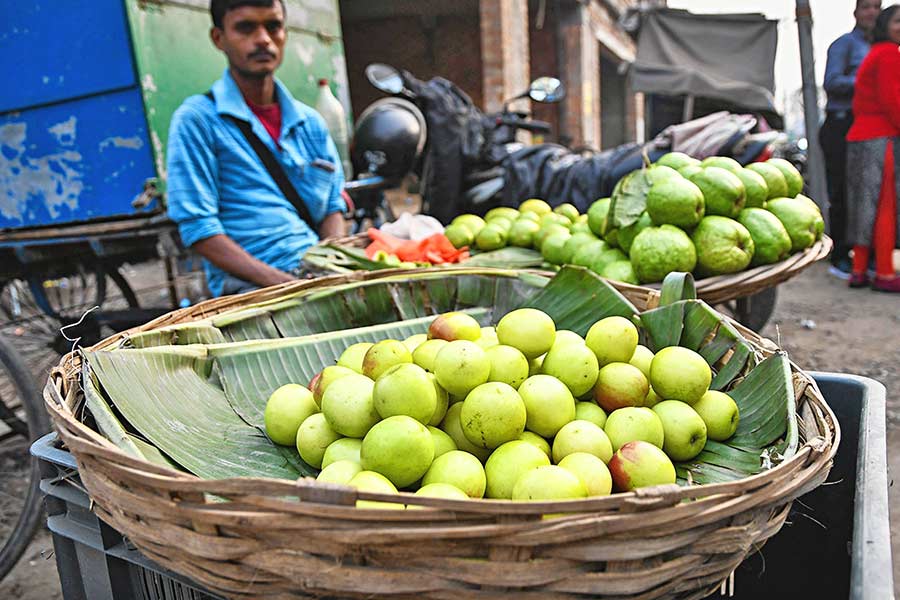 বিক্রি বাড়বে কুলের।