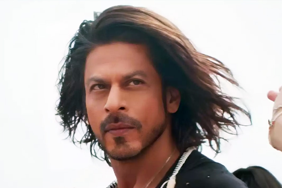 শোনা যাচ্ছে, ‘সি গ্যাং’ নামের এই বিশেষ দলের সঙ্গে সখ্য রয়েছে শাহরুখের। এমনকি, শাহরুখ যে ছবিতে অভিনয় করেছেন, সেই ছবিতে এই দলের সদস্যদের কাজও দিয়েছেন তিনি।