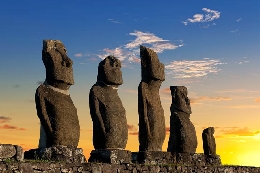 জনসংখ্যা কমার সঙ্গে সঙ্গে কমেছে গাছও। এখন ইস্টার দ্বীপে একটিও গাছ নেই। এই নিয়েই প্রশ্ন তৈরি হয় গবেষকদের মনে। কেন গাছশূন্য এই দ্বীপ?