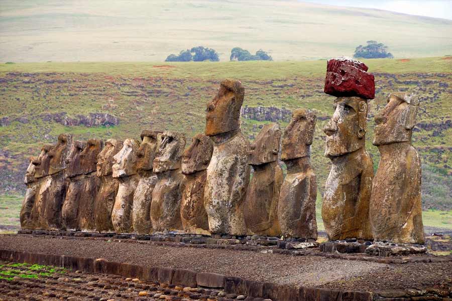 গবেষকরা জেনেছেন, গত ৩০ হাজার বছর ধরে প্রশান্ত মহাসাগরের এই দ্বীপে ছিল তাল গাছের সারি। ১২০০ থেকে ১৬৫০ সালের মধ্যে গাছের সংখ্যা ক্রমে কমেছে। ইতিহাসবিদরা মনে করছেন, একের পর এক বিশাল প্রস্তর মূর্তি তৈরি হয়েছে। সেগুলি পরিবহণের জন্য ব্যবহার করা হত তালগাছ। সম্ভবত ওই তালগাছে দড়ি বেঁধে গড়িয়ে গড়িয়ে মূর্তিগুলিকে গন্তব্যে নিয়ে যাওয়া হত।