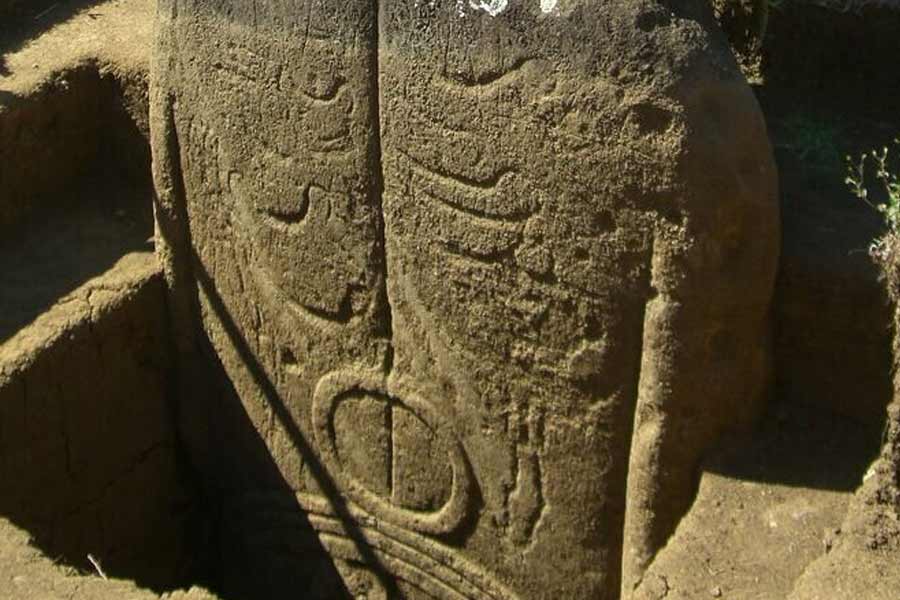 তবে অনেকে মনে করেন, শুধু গাছ নয়, ইঁদুরের কারণেও দ্বীপটি জনশূন্য। দ্বীপে নাকি বেড়েছিল ইঁদুরের উৎপাত। তারা গর্ত খুঁড়ে মাটি আলগা করে দিয়েছিল। ফলে একের পর এক গাছ উপড়ে পড়ে যায়। অনেক ইতিহাসবিদ মনে করেন, ইঁদুরের কারণে প্লেগ মহামারি ছড়ায়। তার কারণেও জনশূন্য হয় এই দ্বীপ।