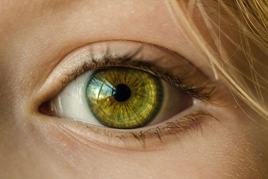 সেখানে বলা হয়েছিল, কম রক্তচাপ, চামড়ায় নানা দাগ, চোখের মণির রং সবুজ, নীল বা হালকা বাদামি এই ধরনের বৈশিষ্ট্য এঁদের চিহ্নিত করার সহজ উপায়। এ ছাড়া, এঁদের মহাকাশের প্রতি বিশেষ আগ্রহ দেখা যায়।