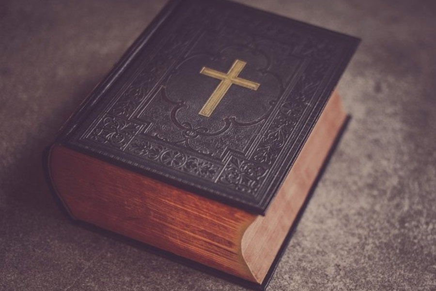 সর্পিল ষড়যন্ত্র তত্ত্ব নিয়ে আলোচনা করতে গিয়ে কেউ কেউ টেনে এনেছেন বাইবেলের দৃষ্টান্ত। তাঁদের মতে এই খ্রিস্টান ধর্মগ্রন্থেও ভিন্‌গ্রহী সরীসৃপদের কথা বলা হয়েছে। ইভের আপেল খাওয়ায় উস্কানি দেওয়ার নেপথ্যে নাকি ছিল সাপের ভূমিকা।