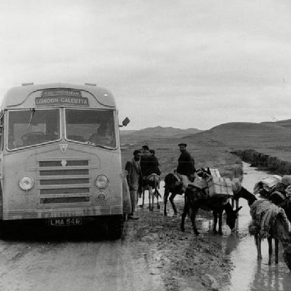 মনে করা হয়, এটিই নাকি ছিল বিশ্বের দীর্ঘতম রুটে চলা বাস। ১৯৫৭ সালের ১৫ এপ্রিল লন্ডন থেকে যাত্রা শুরু করেছিল অ্যালবার্ট।