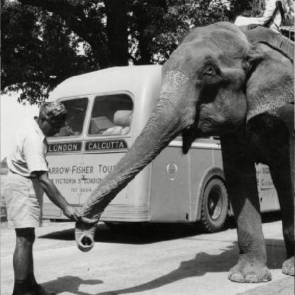 ভারতে প্রবেশ করার পর যাত্রীদের বারাণসীর ঘাট, তাজমহল-সহ ভারতের একাধিক পর্যটন ক্ষেত্রও নাকি ঘুরিয়ে দেখাত অ্যালবার্ট ট্যুর সার্ভিস। 