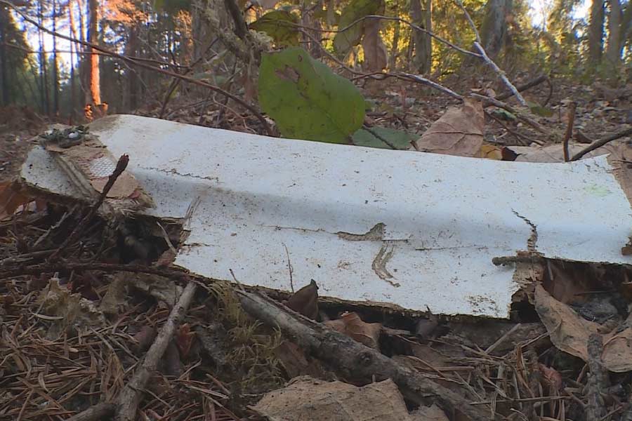 ২০১৭ সালে মঁ ব্লাঁ অঞ্চলে তল্লাশি চালান ড্যানিয়েল রাউশ নামে এক ফরাসি ব্যবসায়ী। বিমান দুর্ঘটনা বিষয়ে ব্যক্তিগত তদন্ত করা তাঁর শখ। রাউশ জানান, সংশ্লিষ্ট অঞ্চলে তিনি একটি বিমানের ধ্বংসাবশেষ খুঁজে পান, যার ককপিটে একটি পিস্তল, ক্যামেরা ও বেশ কিছু কাগজপত্র পাওয়া যায়। তবে রাউশের মতে, ভাবার বিমান দুর্ঘটনার পিছনে অন্য বিমানের সঙ্গে ধাক্কা লাগার বিষয়টি সত্য।