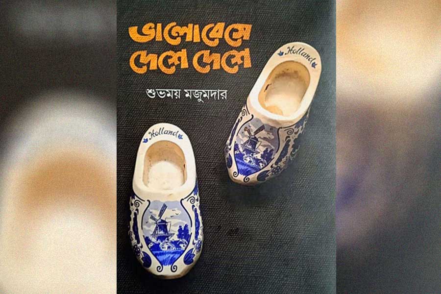 ভালোবেসে দেশে দেশে। শুভময় মজুমদার। ২৫০.০০। রোদরং