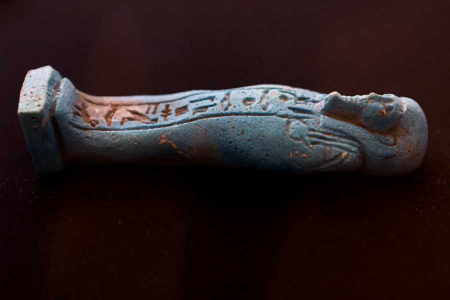 সাম্প্রতিক কালে সাক্কারার সমাধিক্ষেত্র থেকে ৩টি মমি আবিষ্কৃত হয়েছে। তাঁর মধ্যে নতুন এই মমিটিই সবচেয়ে প্রাচীন বলে মনে করা হচ্ছে।