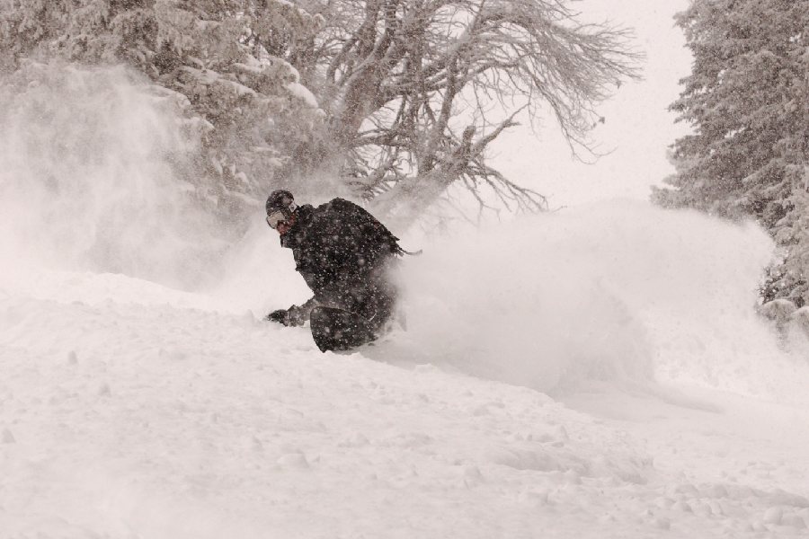 ‘পাঠান’-এ কাজ করেছেন পিটার এপস্টেইন। ‘স্টার ট্রেক’, ‘আই অ্যাম লেজেন্ড’, ‘জোকার’-এর মতো ছবিতে স্টান্টম্যান হিসাবে কাজ করেছেন তিনি।