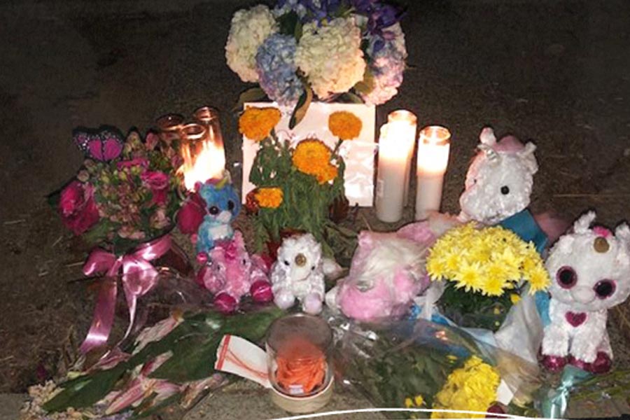 সংস্থার উন্নতিতে নিজেকেও উন্নত করার চেষ্টা শুরু করেছিলেন এরিন। ২০১৯ সালে একটি কর্মশালায় যোগদানের জন্য নাম নথিভুক্ত করেছিলেন তিনি। তার জন্য নিজের শহর ছেড়ে তাঁকে অরেঞ্জ কাউন্টিতে যেতে হত। কে জানত, সেটিই তাঁর শেষযাত্রা হয়ে যাবে?