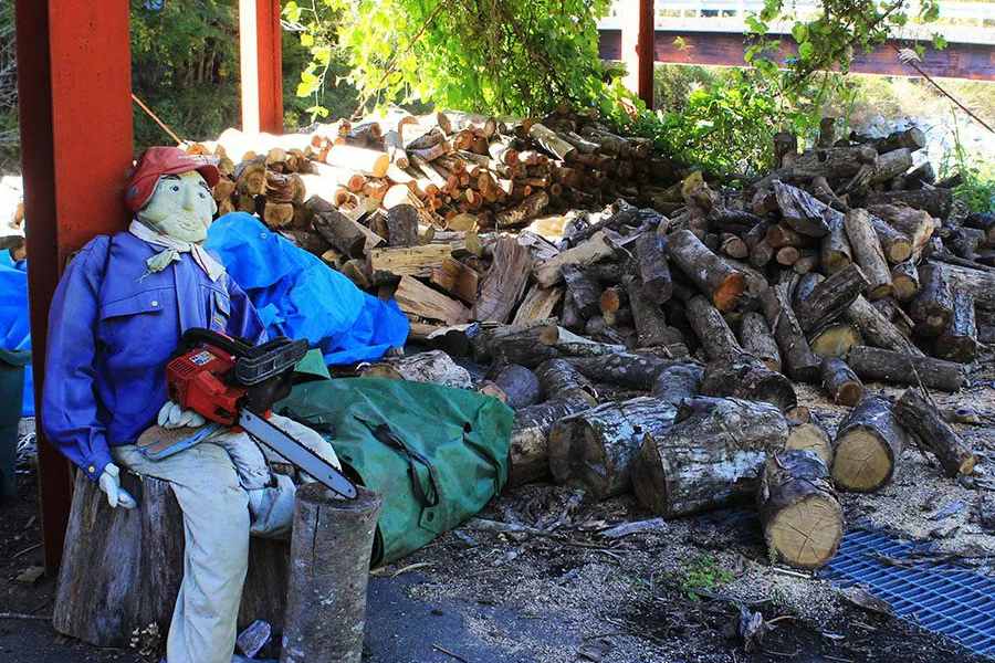 এই ২৭ জনের মধ্যে যিনি কনিষ্ঠতম, তাঁর বয়স ৫০ বছর। সুকিমি বলেন, ‘‘নাগোরো গ্রাম ছেড়ে সকলে বাইরে চলে গিয়েছেন। গ্রামটি যেন ফাঁকা ফাঁকা না লাগে, তাই আমি কাকতাড়ুয়া বানাতে শুরু করি।’’