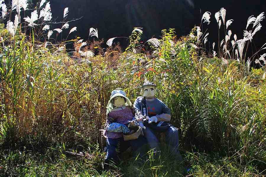 যেমন ভাবা, তেমন কাজ। ২০১৩ সালের মধ্যে মোট ৩৫০টি কাকতাড়ুয়া তৈরি করে ফেলেছিলেন সুকিমি। দূর থেকে এই কাকতাড়ুয়াগুলি দেখলে মনে হয় যেন গ্রামবাসীরাই গ্রাম জুড়ে ঘুরে বেড়াচ্ছে।