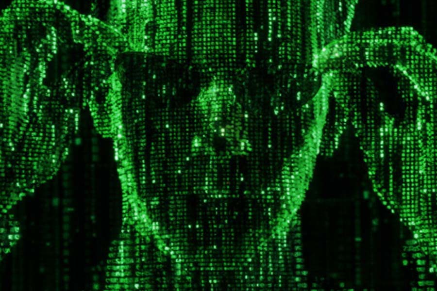 অ্যাগনেস এবং হ্যারিসন জানিয়েছেন, কয়েক ঘণ্টা ধরে তাঁদের সঙ্গে কথা বলার সময় গোটাটাই বেশ রাগত  ছিলেন এরিন। সে সময় কোনও কিছু আতঙ্কও যেন চেপে বসেছিল তাঁর মনে। এক সময় খসখসে স্বরে এরিন বলেন, ‘‘সব কিছুই একটা খেলা। এটা আসলে আমাদের চিন্তাভাবনা নিয়ে পরীক্ষানিরীক্ষা। আমরা সকলেই মেট্রিক্সে রয়েছি।’’ সেটিই ছিল এরিনের শেষ উক্তি।