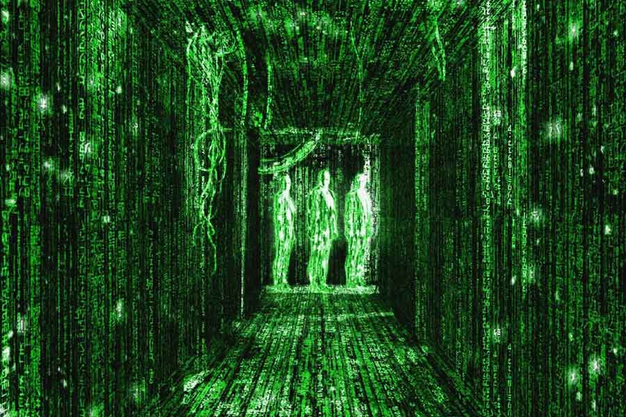 এর পর এরিনের সঙ্গে ফোনে যোগাযোগ করা যায়নি। পরের দিন ঘরে ফেরেননি তিনি। এমনকি, সে সময় থেকেই তাঁর খোঁজ পাওয়া যাচ্ছিল না বলে দাবি। চিন্তিত হয়ে পুলিশে খবর দেয় এরিনের পরিবার। এর ৫ দিন ধরে এরিনের খোঁজে তল্লাশি শুরু করে পুলিশ। অনলাইনে ওই ভাড়া করা গাড়িটির নম্বর প্রকাশ করে চলে প্রচারও। তবে সব চেষ্টাই বিফলে যায়।