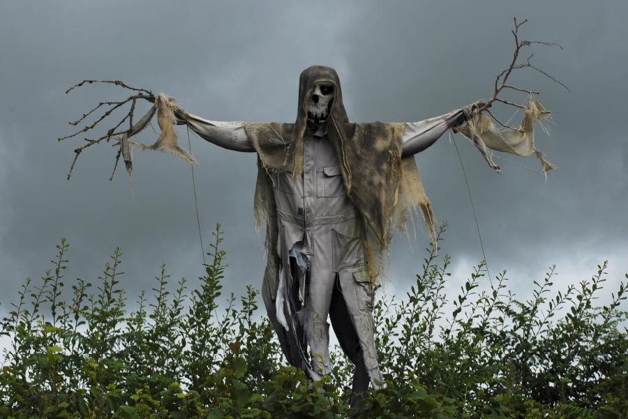 গ্রামের ভিতর প্রবেশ করলে নির্জন পরিবেশ। চাষবাসের জমি থেকে শুরু করে দোকানপাট, বাসস্ট্যান্ড সবই রয়েছে জাপানের এই গ্রামে। চারিদিকে ভাল করে লক্ষ করলে লোকজনও দেখা যায়। কিন্তু তাঁদের কাছে গেলেই অন্য দৃশ্য ধরা পড়ে। এ যে মানুষ নয়, বরং মানুষের পোশাক পরে দাঁড়িয়ে থাকা সারি সারি পুতুল।