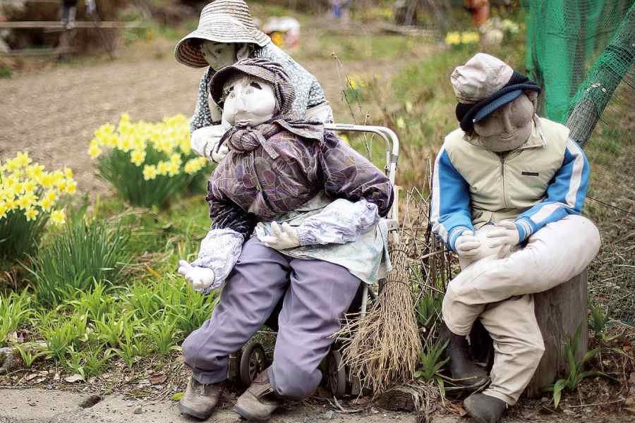নাগোরো গ্রামে জন্ম হলেও পড়াশোনা সূত্রে গ্রাম ছেড়ে বাইরে চলে গিয়েছিলেন সুকিমি। ২০০২ সালে আবার ওই গ্রামে ফিরে আসেন তিনি। কিন্তু গ্রামে আসার পর তিনি হতাশ হয়ে পড়েন।