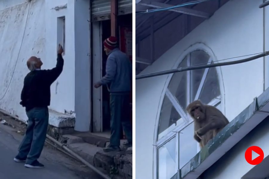 elderly man throwing bread to a monkey.