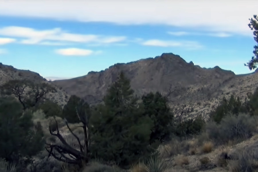 আর এক বার কেনি লিখেছিলেন, ‘‘কুড়ি বছর ধরে এ জীবনই যাপন করেছি। পর্বতশৃঙ্গের শীর্ষে উঠে তারাদের মাঝে সেখানে ঘুমিয়েছি। সব আকারের মাথার খুলি দেখেছি। মাঝেমধ্যে পশুদের ফাঁদও নজরে এসেছে। এক কাপ জলে ২০ মাইল পর্যন্ত হেঁটেছি। এক বার তো আমাকে হেলিকপ্টারের সাহায্যে উদ্ধার করতে হয়েছিল। তবে সব সময়ই ঘরে ফিরে এসেছি।’’