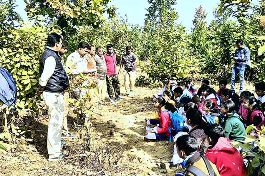 Students receiving lessons to know the forest area by professionals